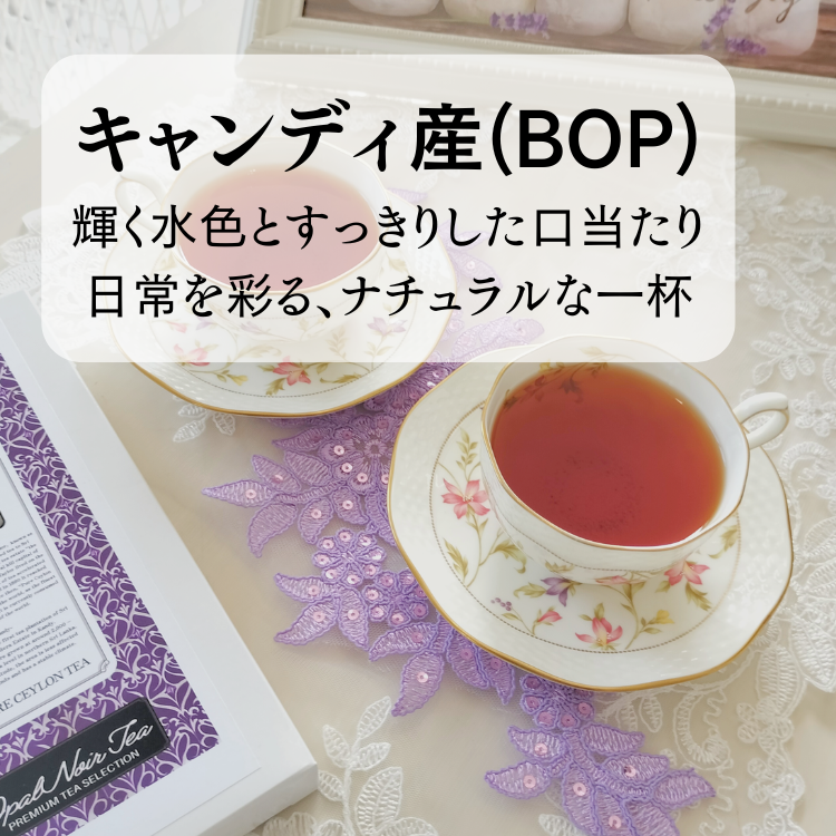 キャンディ産BOP