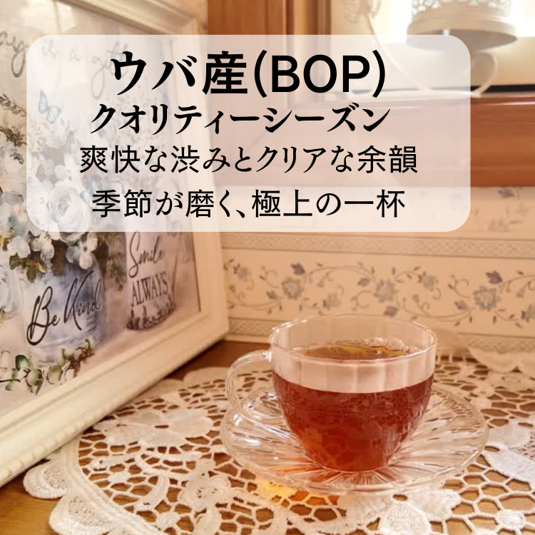ウバクオリティーシースン　BOP