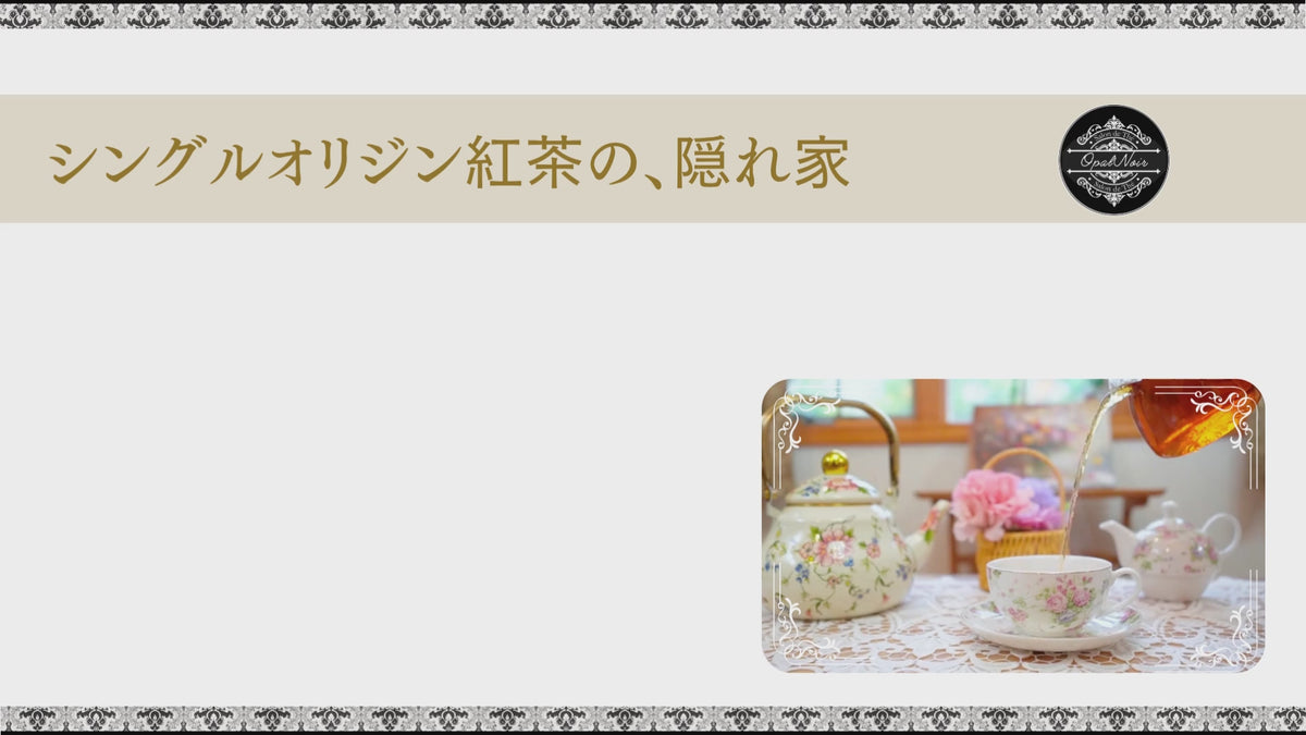 動画を読み込む: 