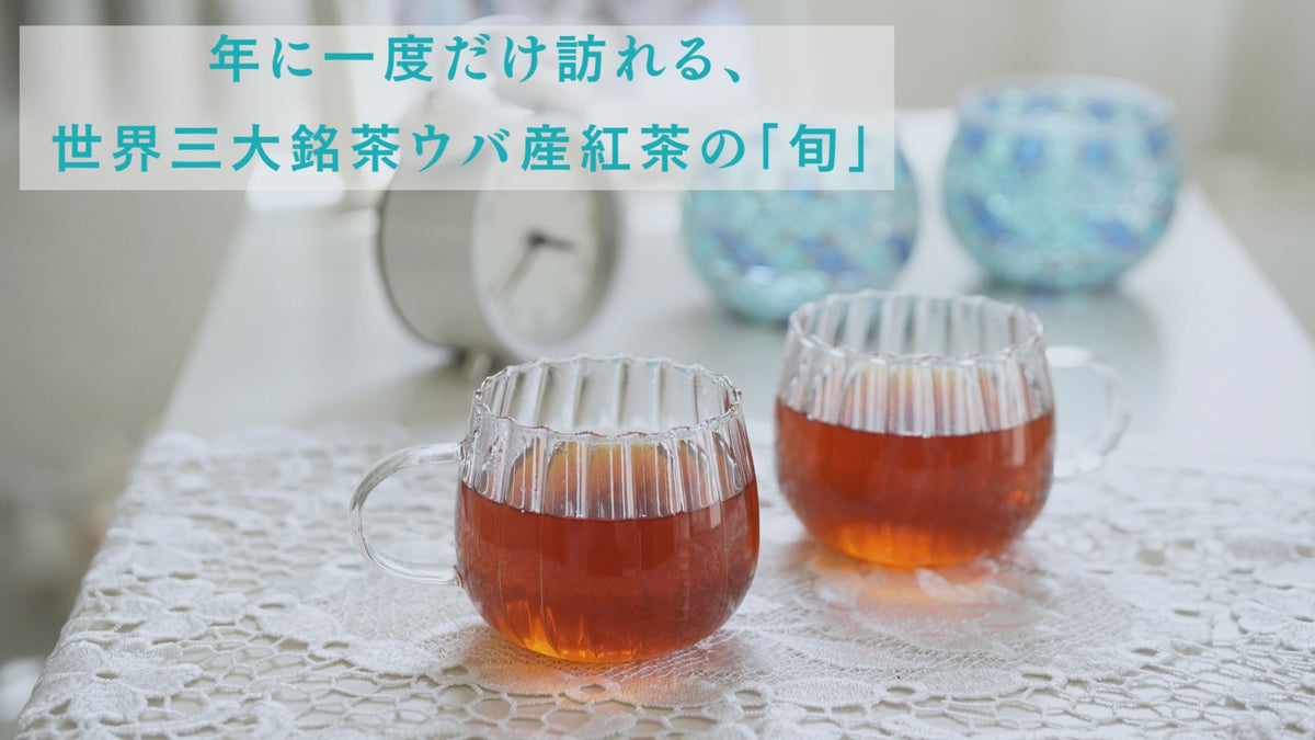 動画を読み込む: 