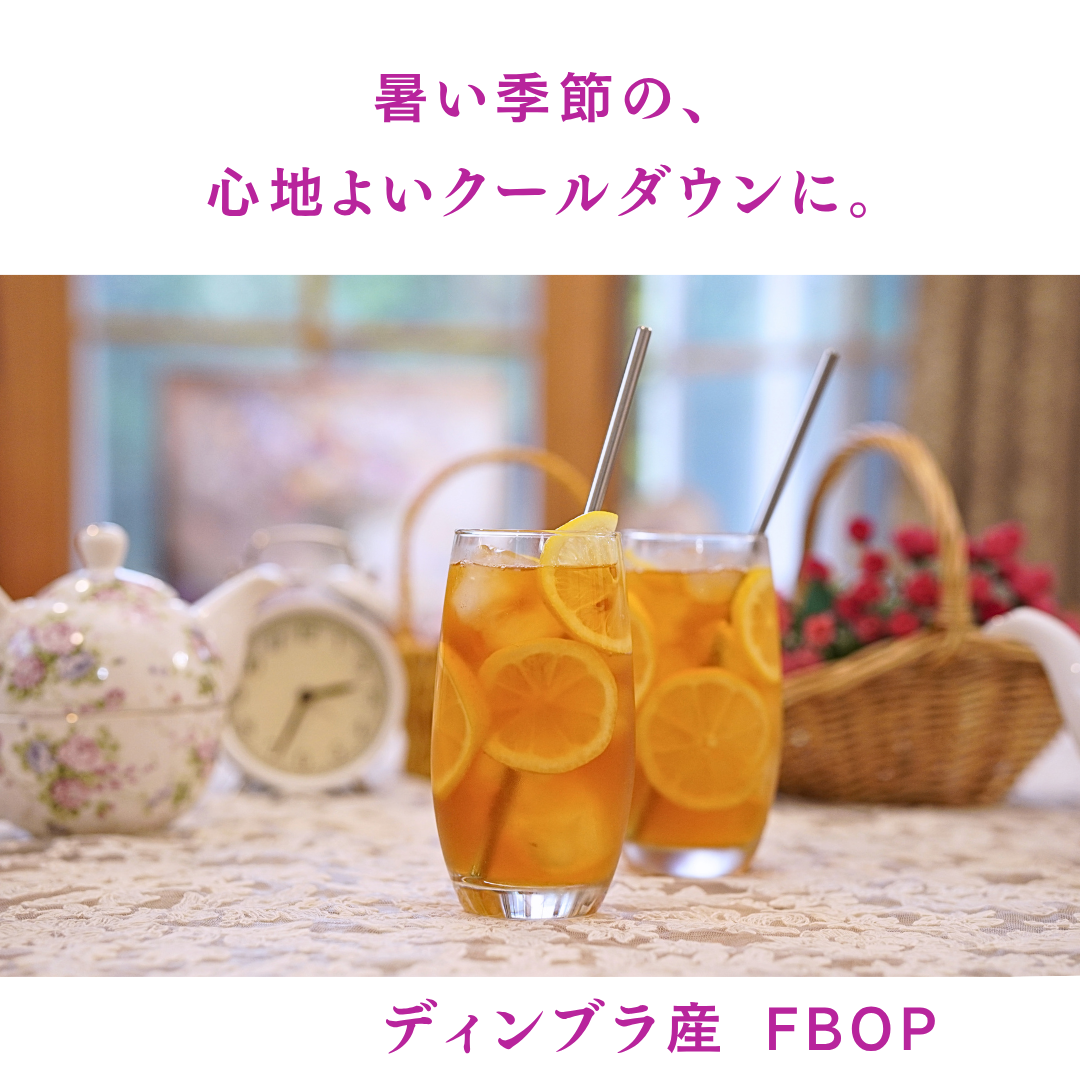 動画を読み込む: 
