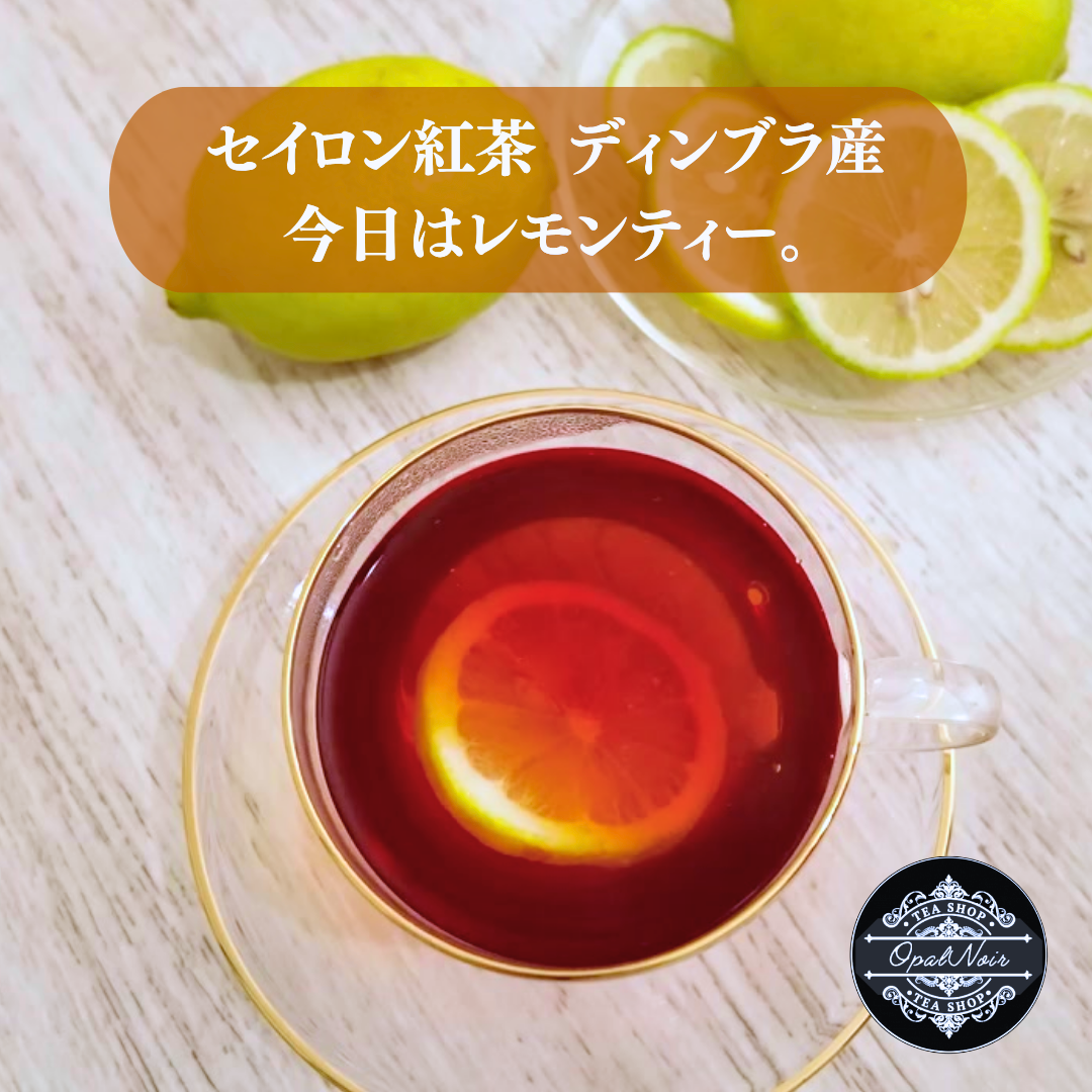 動画を読み込む: 