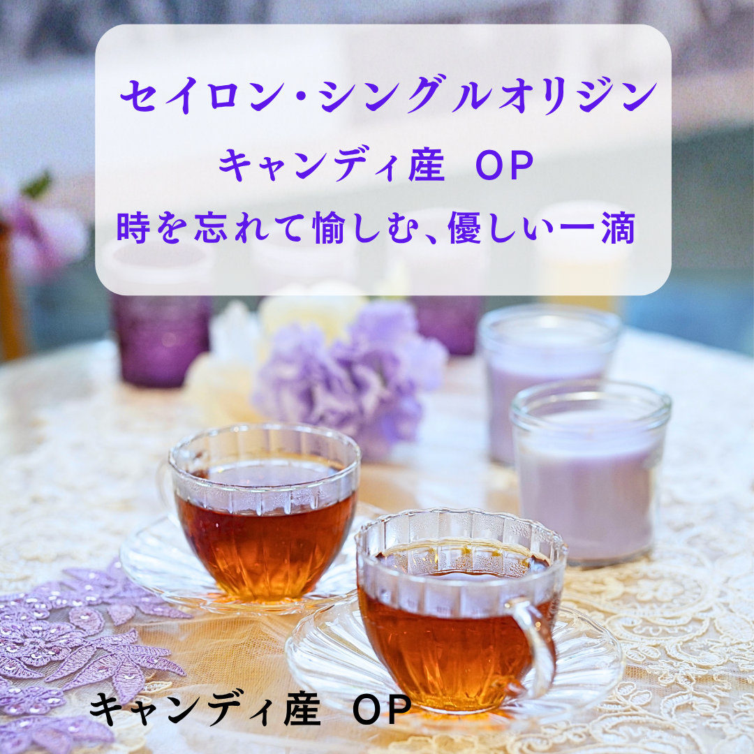 動画を読み込む: 