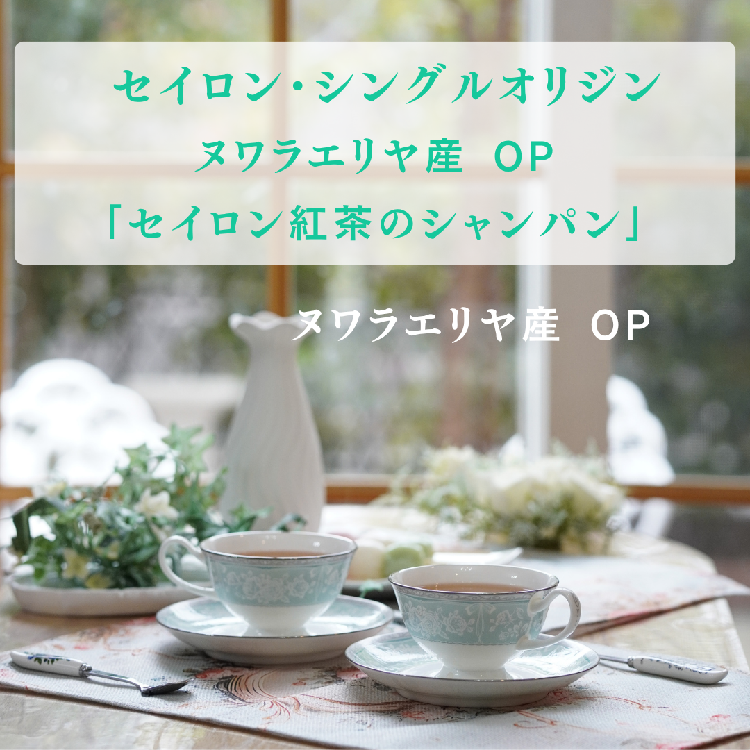 動画を読み込む: 