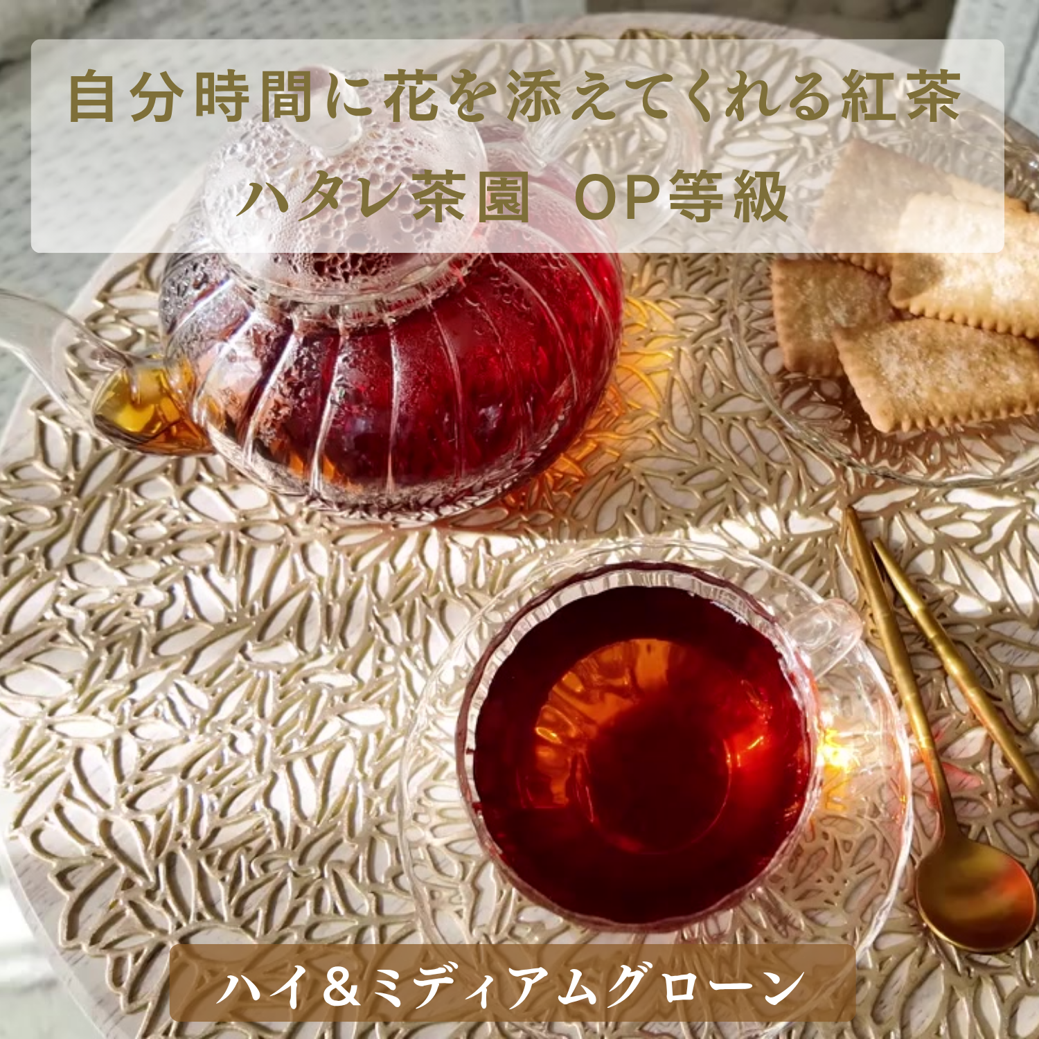 動画を読み込む: 